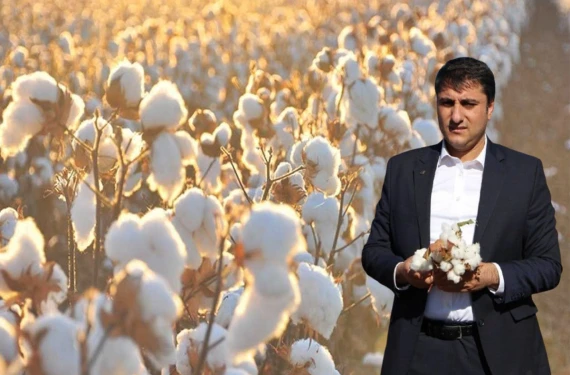 ‘Beyaz altın'da kara tablo: