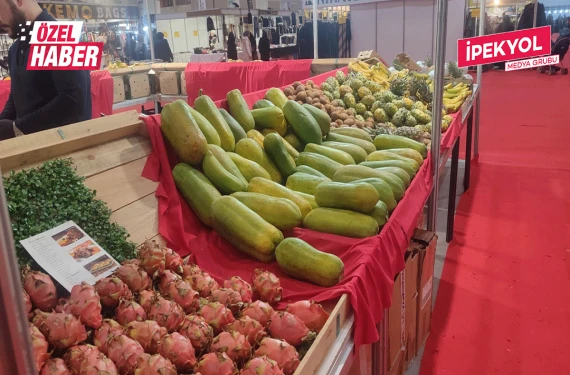 Dışı karpuz, içi kavun…