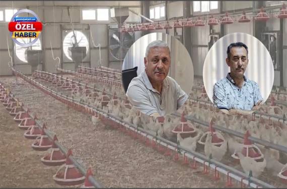 Urfa ikliminde yılda 350 yumurta