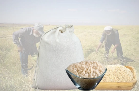 Şanlıurfa’dan dünyaya…