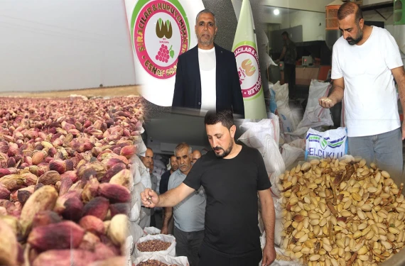 Stoktaki on binlerce ton fıstık piyasaya sürüldü