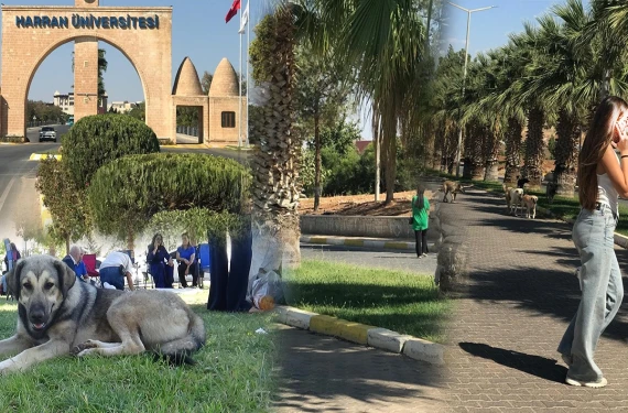 Öğrenciler tedirgin