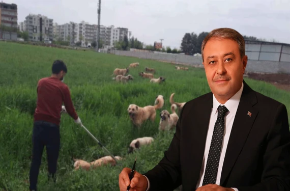 Gören anında 112'yi arasın