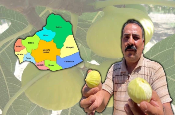 Şam’dan Şanlıurfa’ya uzanan lezzet: