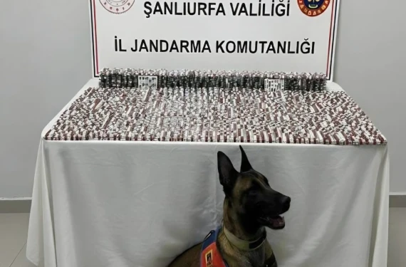 Çok sayıda gözaltı var