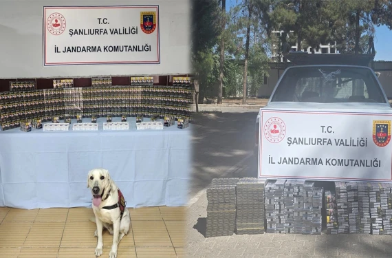 Binlerce kaçak paket ele geçirildi