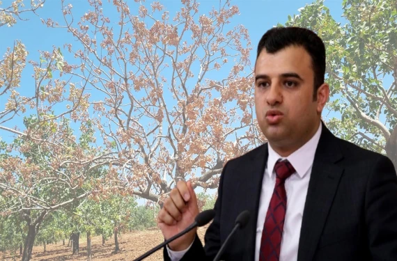 Kanun teklifiyle koruma altına alınacak