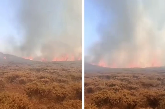 Geniş alana yayıldı