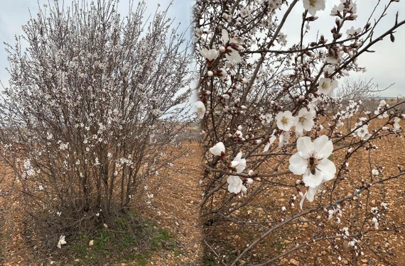Arı kovanı bulunmalı