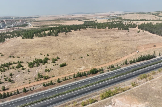 Binlerce ağaç dikilecek…