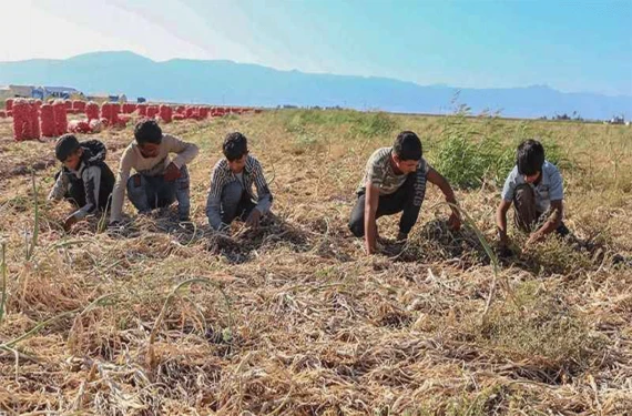 61 çocuk ölümüyle ilk sırada