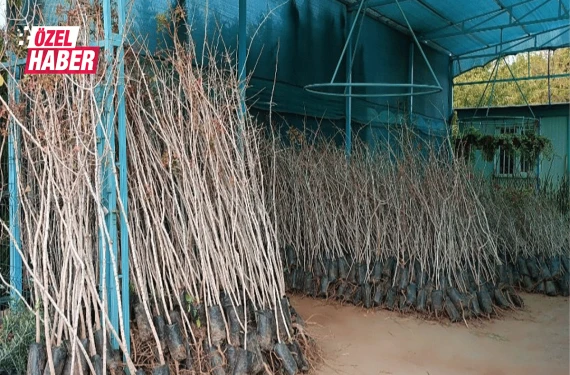 Binlerce ailenin geçim kaynağı…