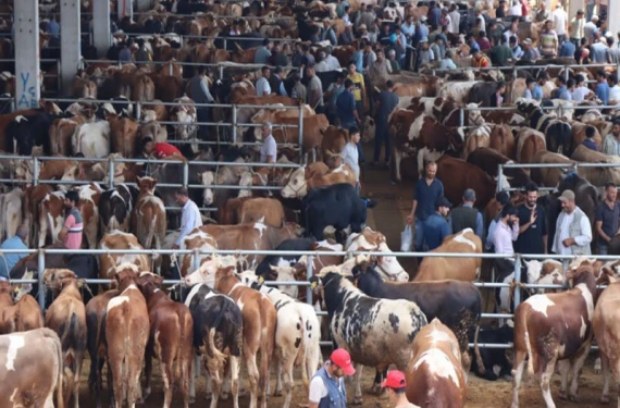 İkinci bir emre kadar hepsi kapatıldı