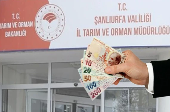 Son tarih 18 Ekim…