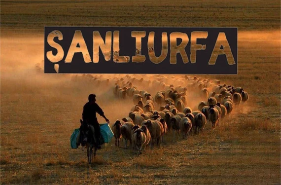 Türkiye’de üçüncü…