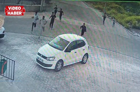 Bu kaçıncı köpek saldırısı