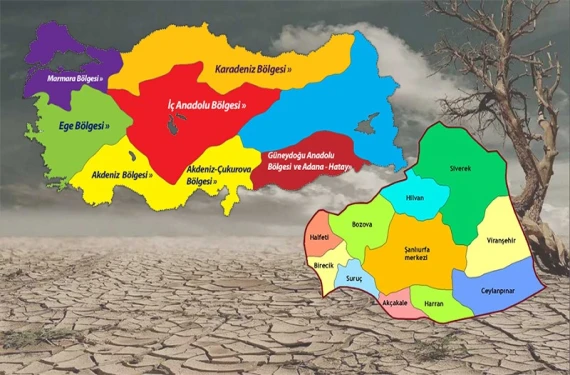Geçen yıla göre yüzde 50 azaldı