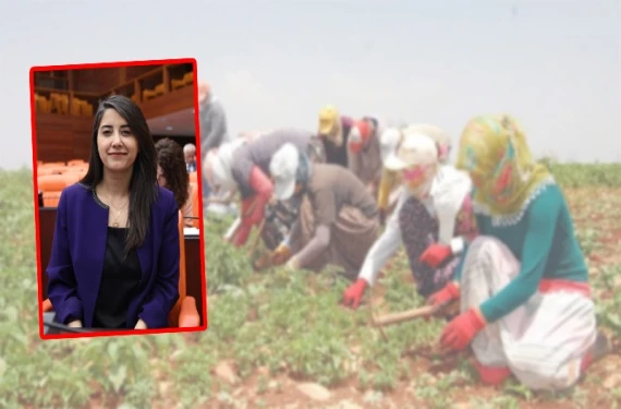 Şanlıurfa milletvekili bakanlığa sordu: