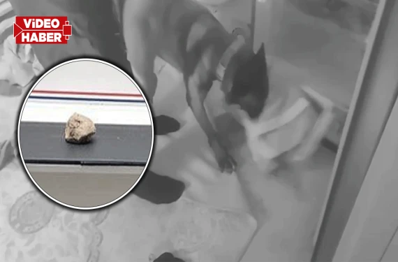 Derin dondurucudan bakın ne çıktı
