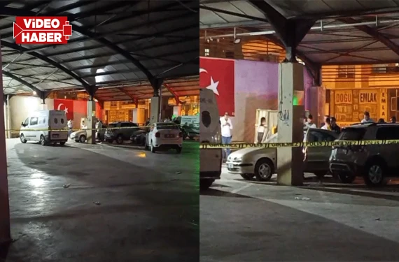 Park halindeki araçta ölü bulundu