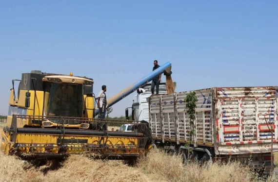 Hububat alım fiyatları açıklandı