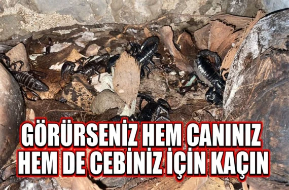 Şanlıurfa yaz aylarında ondan geçilmiyor!