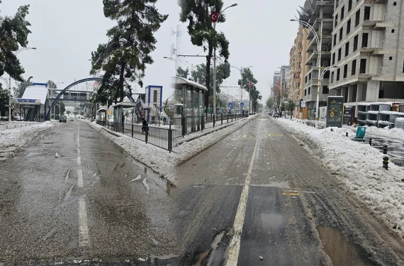 Görenleri hayrete düşüren manzara