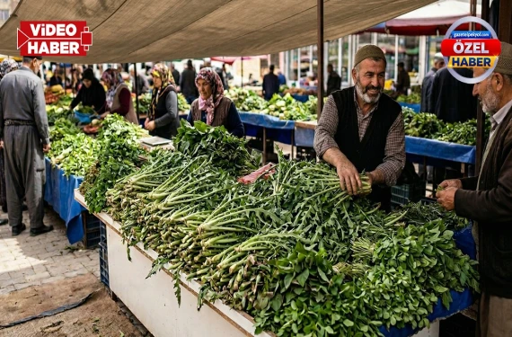 Tek renk çeşit çeşit taze ürünler