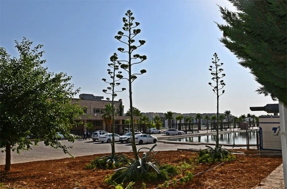 Görenler gözlerine inanamadı...