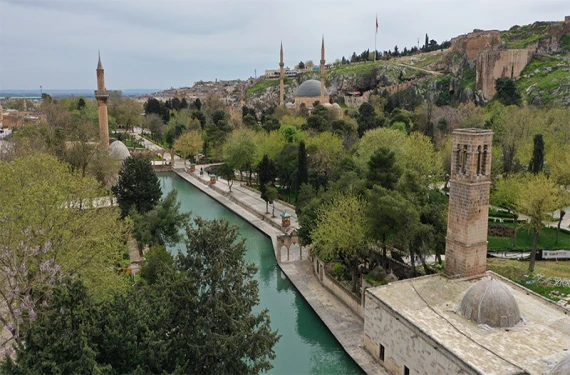 Şanlıurfa’da alışılmadık manzara: