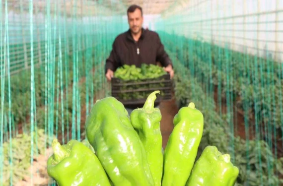 Şanlıurfa’da bu gelenek yıllardır var: