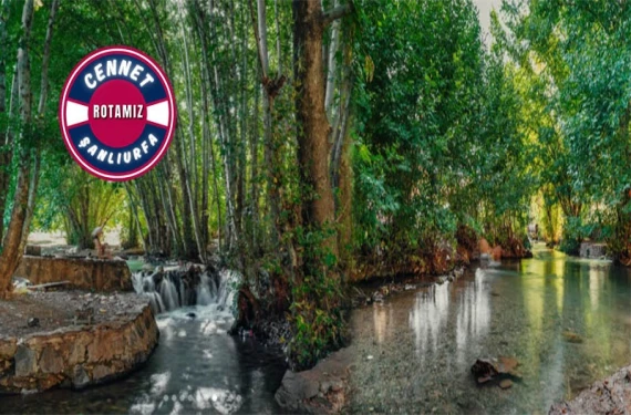 Serinliğiyle şaşırtan ihmaliyle üzen doğa cenneti