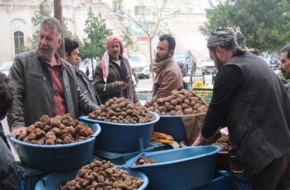 Etten 5 kat daha pahalı!