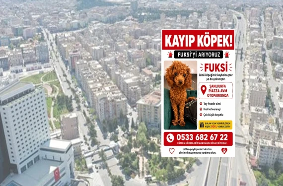 “Fuksi”yi bulana ödül verecekler