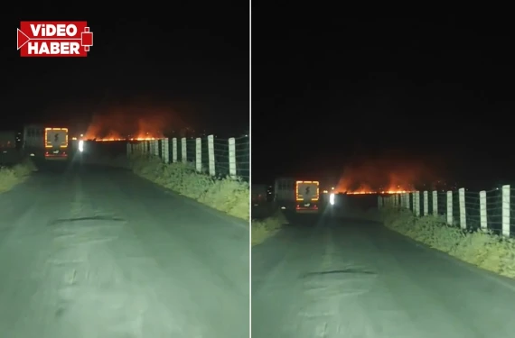 Şanlıurfa’da herkesi isyan ettiren görüntü!