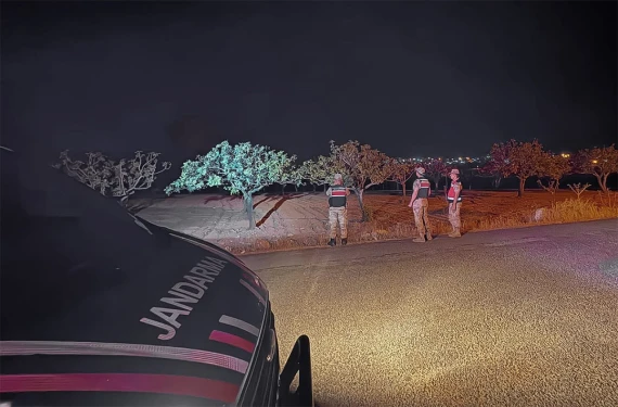 Yeşil altın uçtu, hırsızlık patladı: