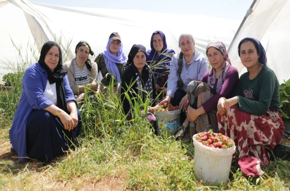 Tarımda devrim…