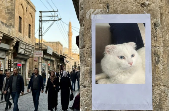 Bulana 10 bin TL ödül verilecek