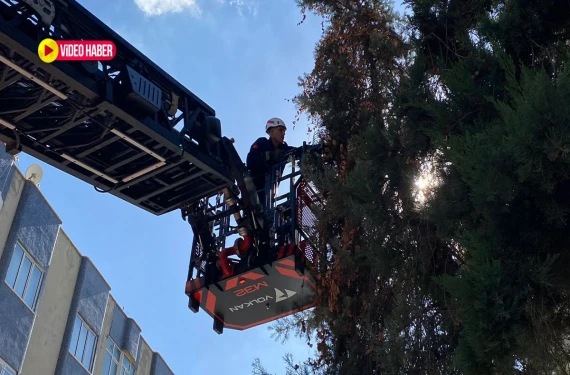 Ekipler harekete geçti