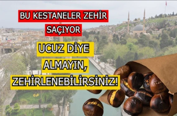 Kestane severler dikkat: