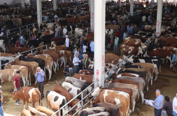 Namazdan çıkan oraya koştu: