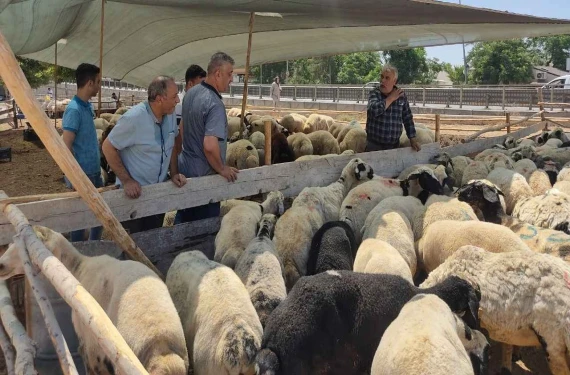 Sahte site ve sahte para…