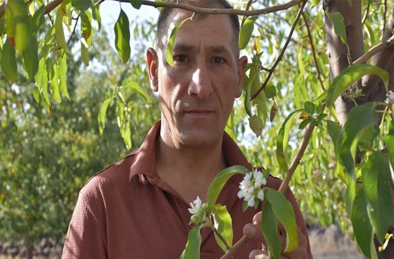 Şanlıurfa’nın dengesi şaştı!