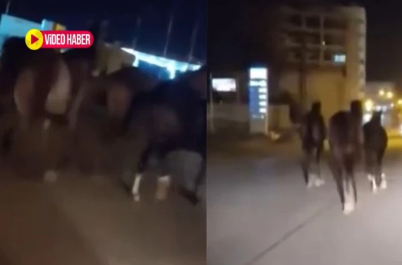 Şanlıurfa’da şaşkına çeviren görüntü: