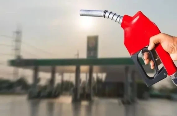 Bakın fiyatı ne kadar oldu?