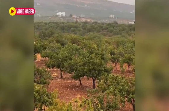 Bardaktan boşanırcasına…