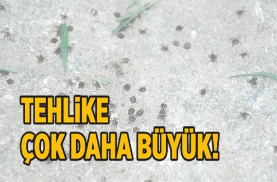 Tek bir yanlış hareket yetiyor!