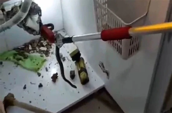 Evlere girmeye başladılar…