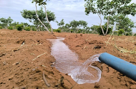 Bahçelerde seferberlik...