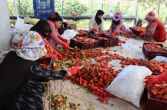 İsot tartışmasında ikinci perde